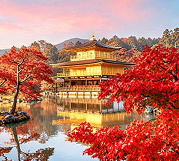 楓艷四都.藝妓回憶錄.千年雙古都5日