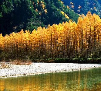 楓彩北陸.小松直飛.絕美仙境上高地.飛騨京都.昇龍道溫泉5日