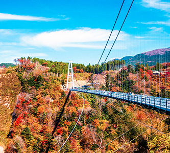 九州楓情.世界新三大夜景.紅葉巡禮.溫泉5日