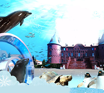 【北海道新三大夜景5日】羅曼蒂克歐風小樽.尼克斯海洋公園.溫泉