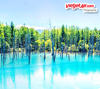 【夏戀北海道6日】紫醉薰衣草.繽紛美瑛.幻景青池.洞爺湖花火.溫泉 / 泰越捷