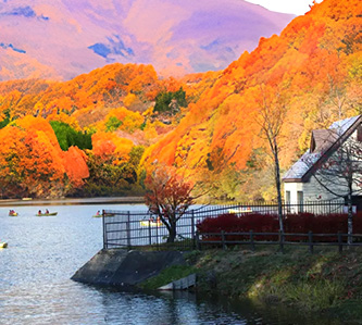 金秋楓彩日本東北名城秘境雙溫泉4日｜週二出發