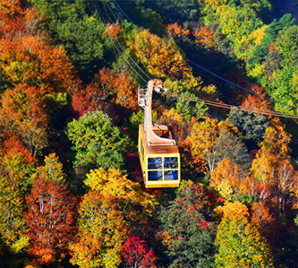 楓紅彩妝日本東北秘境採果遊船溫泉5日｜週五出發