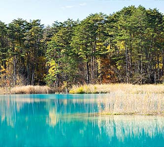 夏日青風日本東北秘境雙城雙溫泉超值4日
