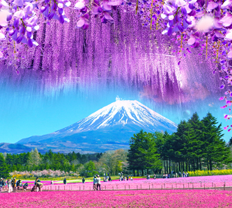 【立山雪壁童話合掌村5日】浪漫紫藤粉芝櫻.花雪溫泉美饌｜長榮東京進出