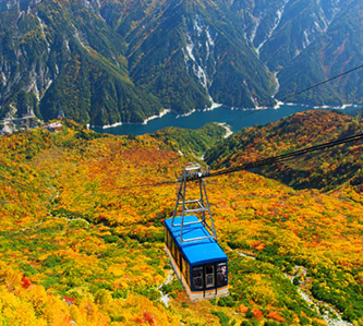 楓靡立山.紅葉合掌村.飛騨京都.川越江戶溫泉5日