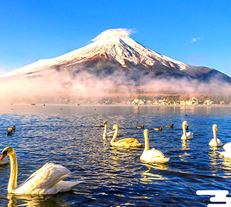 鑽石富士.古都鐮倉.絕美箱根.伊豆溫泉5日