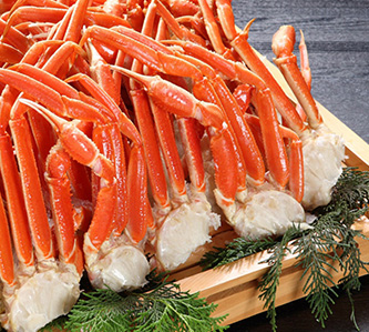 【大阪5日】天橋立伊根舟屋合掌村螃蟹海鮮和牛-BR1548