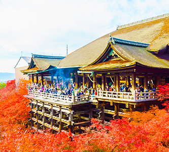 楓艷四都.藝妓回憶錄.絢麗夜景5日