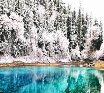 最美九寨溝天堂8日