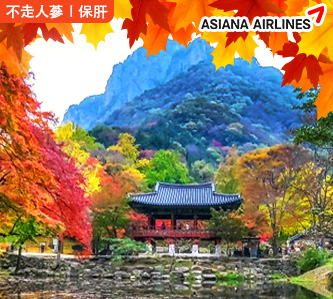 【韓楓在現5日(不走人蔘保肝)】內藏山賞楓、全州韓服體驗、弘大商圈、塗鴉秀