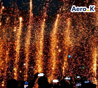 限定世宗落火慶典 5 日(不走人蔘保肝)