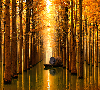 【金秋秘境長江水陸三峽精華遊8日】船遊西陵峽、神農架、恩施大峽谷、三峽龍脊、白帝城、夢裡水鄉（重慶進武漢出）