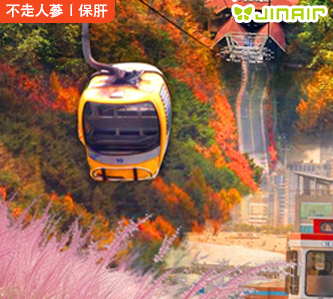 【釜邱追楓5日(不走人蔘保肝)】八公山賞楓、EWOLD樂園粉黛草、膠囊列車美食