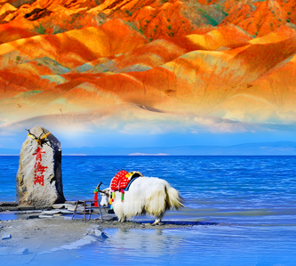 甘青大環線精選13日