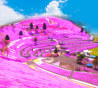 相戀粉愛芝櫻.北國道東.三大蟹吃到飽.溫泉5日