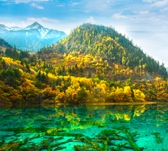 絕美九寨溝-九寨溝.樂山大佛遊江. 嘉陽小火車觀油菜花8日