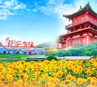 花現江南·烏鎮搖櫓·梵天花海6日(杭州小莫高窟、雲尚軒下午茶+漢服體驗、太陽馬戲團X秀)