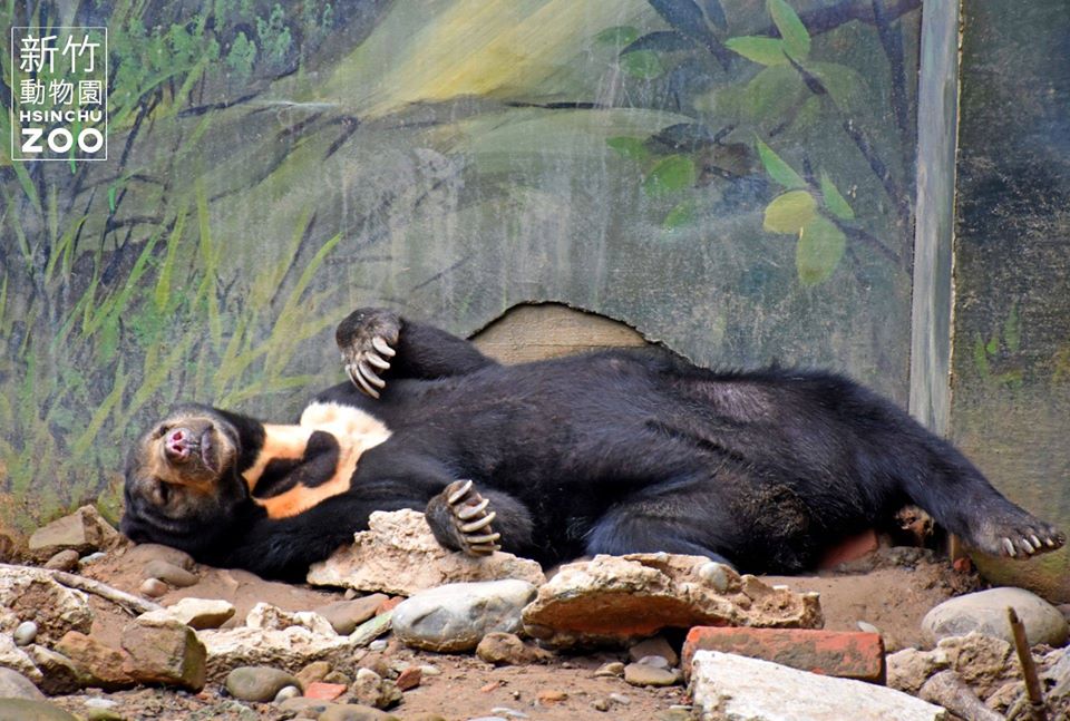 /material-alias/旅遊新資訊/動物園5.jpg
