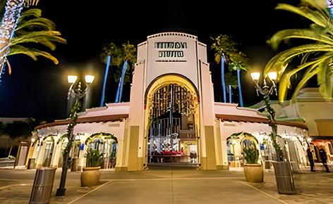 美麗星世界、美西NBA體驗8日