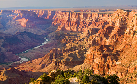 美麗星世界、限GO美西雙城8日