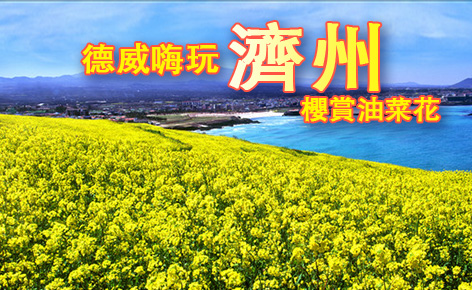 德威嗨玩濟州櫻賞油菜花5日