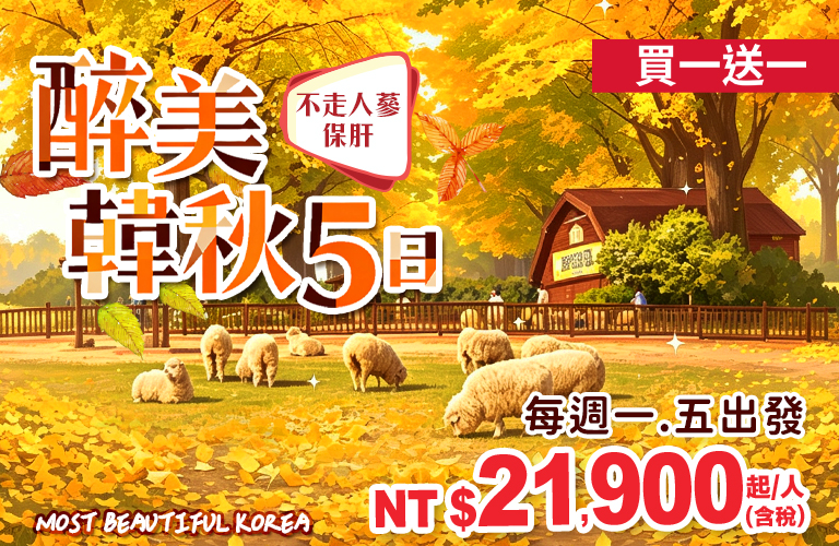 醉美韓秋5日